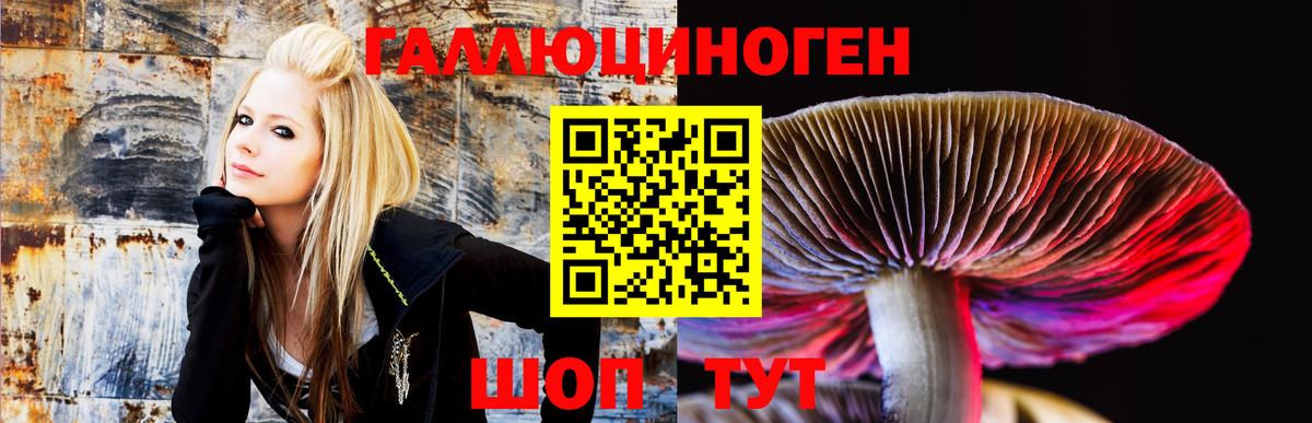 Псилоцибиновые грибы Psilocybe  Вход с VPN  купить   Донской 