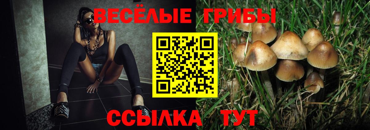 Галлюциногенные грибы GOLDEN TEACHER Донской